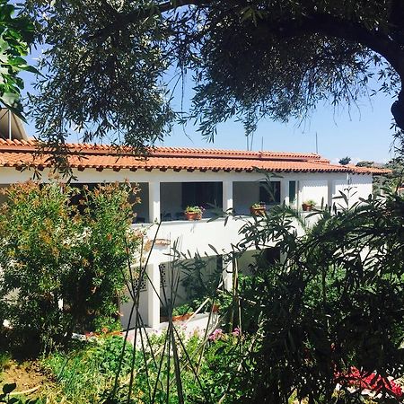 Villa Meroulas Megali Ammos  Zewnętrze zdjęcie